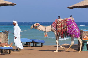 Ägypten: Reisewarnung für Badeorte aktuell aufgehoben